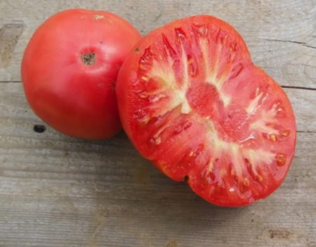 Wentzell tomato from Yonder Hill Farm