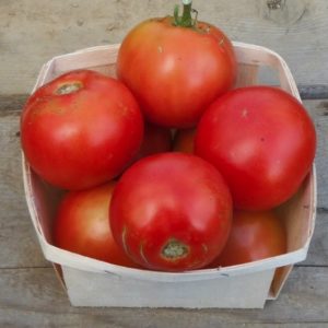 Scotia tomato from Yonder Hill Farm