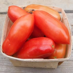 San marzano paste tomato from Yonder Hill Farm