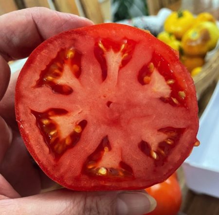 Beefsteak tomato seeds from Fuschia Design Shop