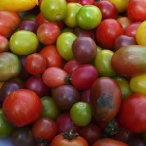 Mixed cherry & grape tomato seeds from Fuschia Design Shop