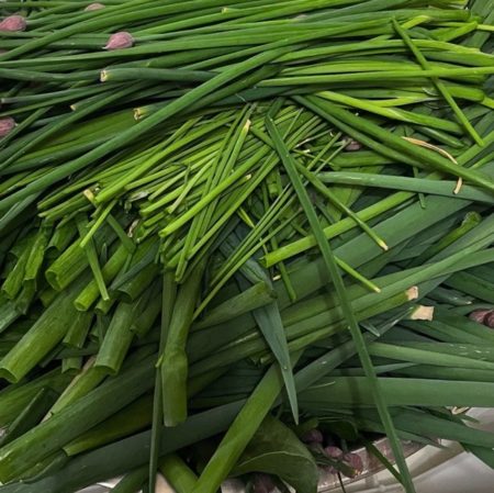 Welsh onion seeds from Fuschia Design Shop