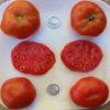 Brandywine Red Heirloom Tomato Seeds from MrTomatohead