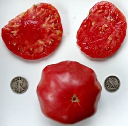 Brandywine Pink Heirloom Tomato Seeds - Over 40 Fresh Seeds Per Packet - Buy “ANY” 4 or more items and save 20% off your entire order! Just enter promo code Save20 at checkout