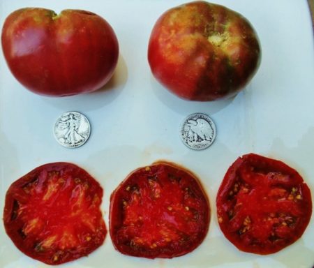 Cherokee Purple Heirloom Tomato Seeds - Over 40 Fresh Seeds Per Packet - Buy “ANY” 4 or more items and save 20% off your entire order! Just enter promo code Save20 at checkout