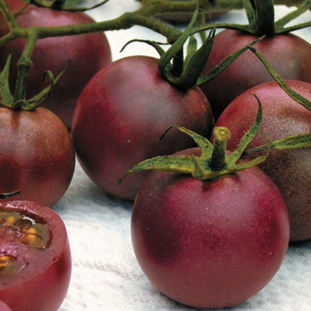 Chocolate Cherry Heirloom Tomato Seeds - So, so sweet! - Over 50 Fresh Seeds Per Packet -Buy “ANY” 4 or more items and save 20% off your entire order! Just enter promo code Save20 at checkout