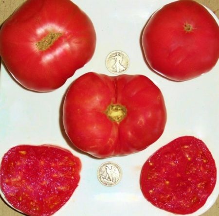 Dester Heirloom Tomato Seeds - Award Winner From Germany - Beefsteak - Over 40 Fresh Seeds Per Packet - Buy “ANY” 4 or more items and save 20% off your entire order! Just enter promo code Save20 at checkout