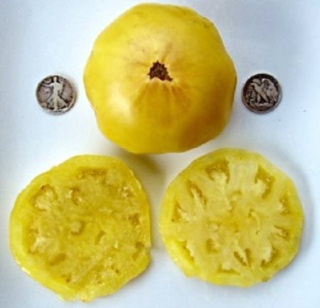 Dixie Golden Giant Heirloom Tomato Seeds - Beefsteak - Over 40 Fresh Seeds Per Packet - Buy “ANY” 4 or more items and save 20% off your entire order! Just enter promo code Save20 at checkout