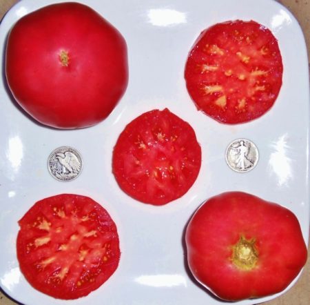 German Pink Heirloom Tomato Seeds - Beefsteak - Over 40 Fresh Seeds Per Packet - Buy “ANY” 4 or more items and save 20% off your entire order! Just enter promo code Save20 at checkout