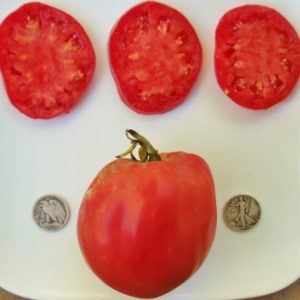 Hungarian Heart Heirloom Tomato Seeds from MrTomatohead