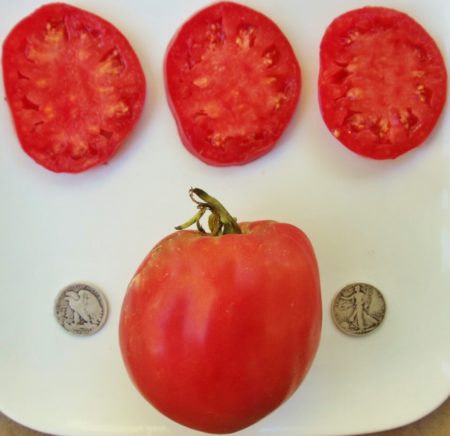 Hungarian Heart Heirloom Tomato Seeds from MrTomatohead