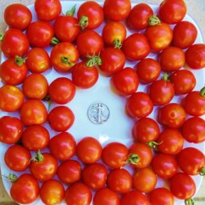 Large Red Cherry Heirloom Tomato Seeds from MrTomatohead