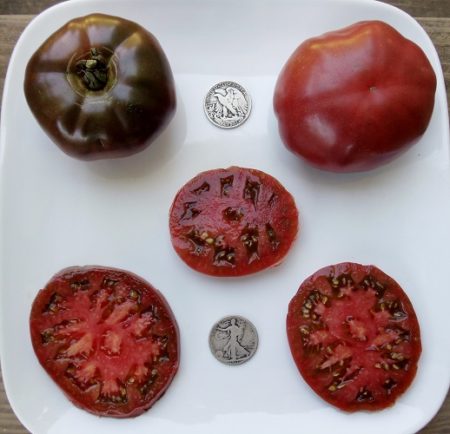 Paul Robeson Heirloom Tomato Seeds - Over 40 Fresh Seeds Per Packet -Buy “ANY” 4 or more items and save 20% off your entire order! Just enter promo code Save20 at checkout