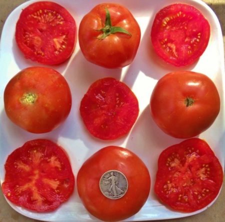 Rutgers Heirloom Tomato Seeds - Mid Season Slicer - Over 40 Fresh Seeds Per Packet - Buy “ANY” 4 or more items and save 20% off your entire order! Just enter promo code Save20 at checkout