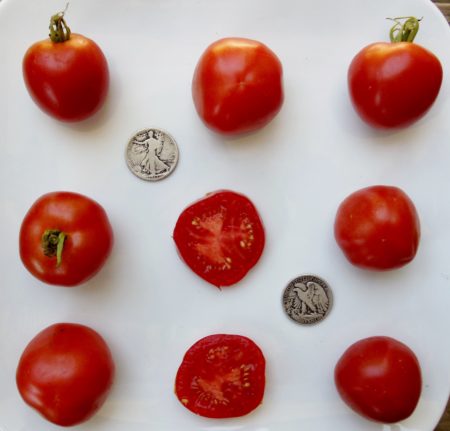 Stupice Heirloom Tomato Seeds - Very Early! Over 40 Fresh Seeds Per Packet - Buy “ANY” 4 or more items and save 20% off your entire order! Just enter promo code Save20 at checkout Packet -