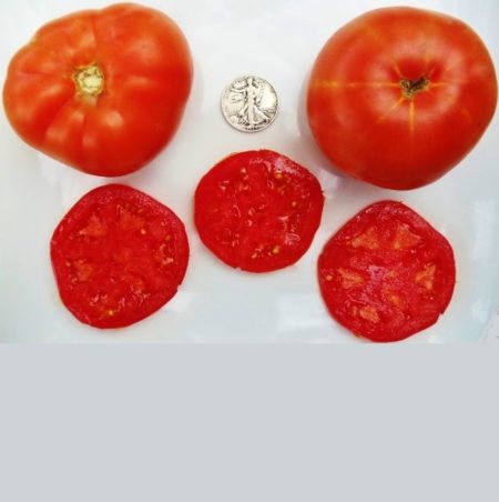 Trophy Heirloom Tomato Seeds - Over 40 Fresh Seeds Per Packet - Buy “ANY” 4 or more items and save 20% off your entire order! Just enter promo code Save20 at checkout