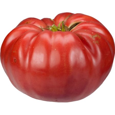 Giant Belgium Heirloom Tomato Seeds - Giant Beefsteak - Over 40 Fresh Seeds Per Packet - Buy “ANY” 4 or more items and save 20% off your entire order! Just enter promo code Save20 at checkout